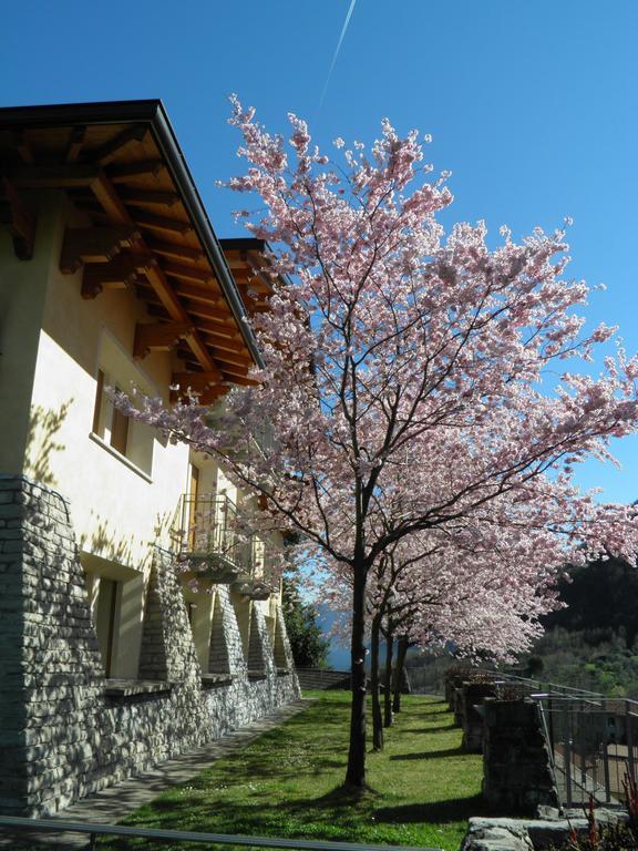 Villa Primula Беладжо Стая снимка